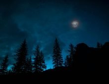 Illustrative picture. Source: Pexels.com