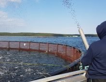 PRFoods fish farm. Photo is illustrative. Source: Margus Muld/ERR